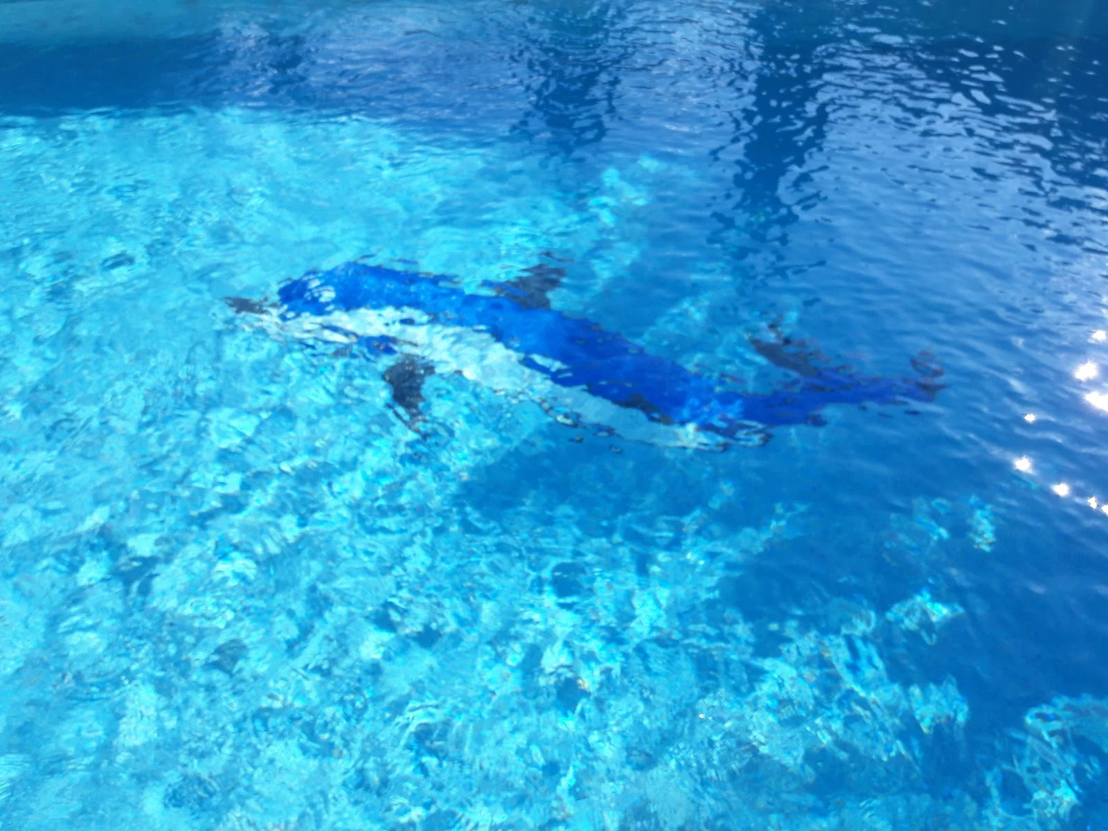 Nageur sous l'eau dans la piscine turquoise du Domaine Saint Paul le Marseillais, baignade rafraîchissante mariage Hérault