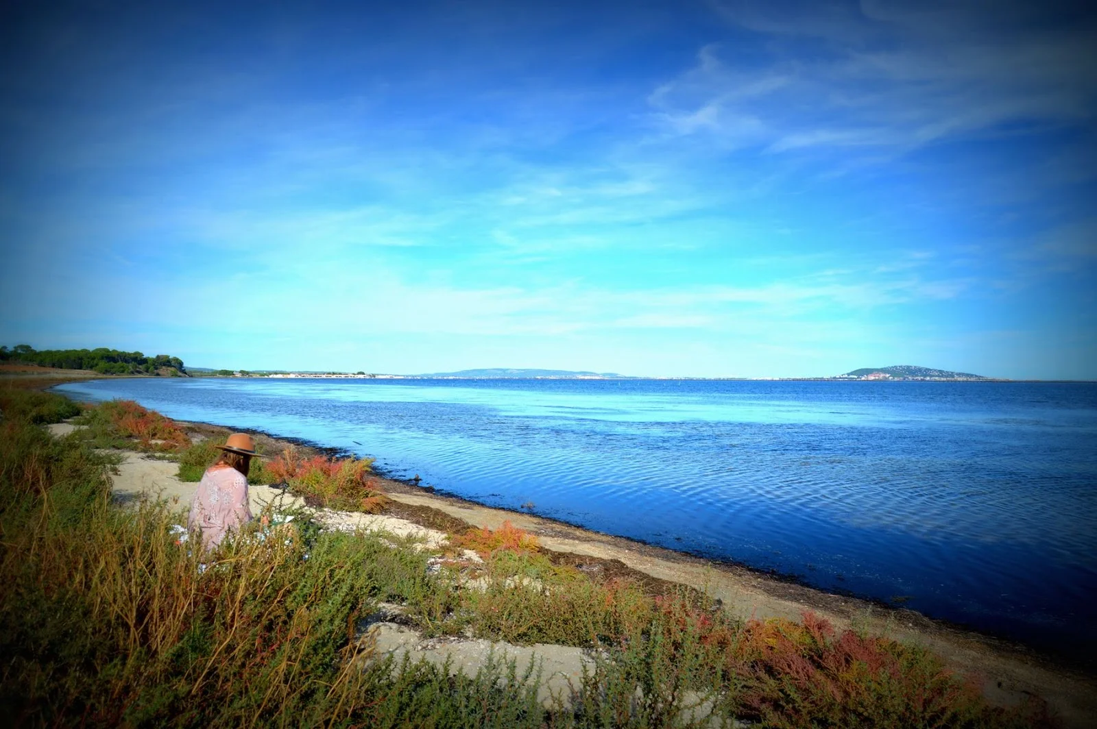 Vue sur l'étang et la nature sauvage aux abords du domaine La Bellonette en Hérault