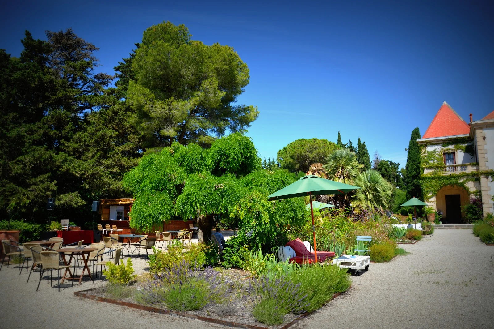 Terrasse ombragée du domaine La Bellonette en Hérault avec lavandes et pins pour cocktail de mariage