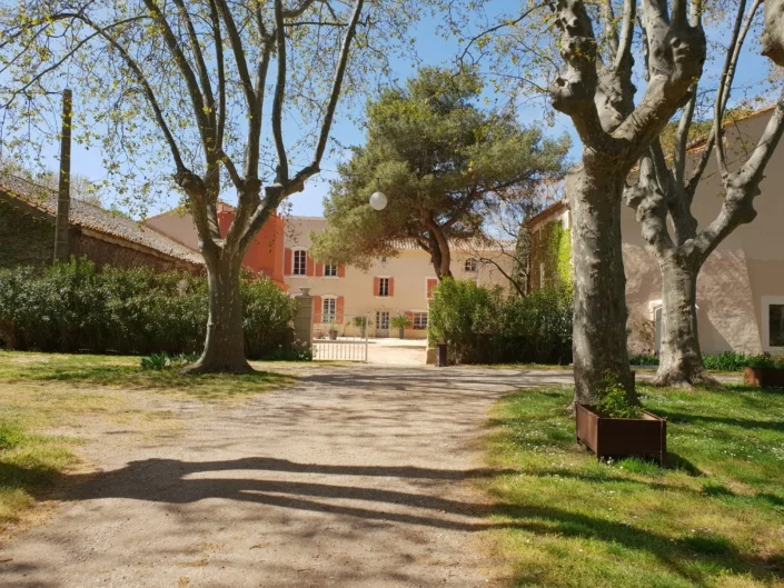 Allée principale bordée de platanes menant au mas des Charmes de Bailly aux volets orangés dans l'Hérault