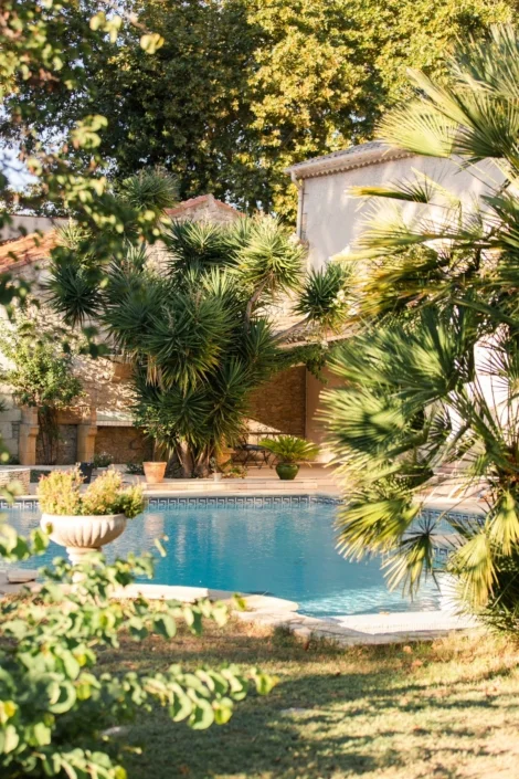 Piscine entourée de palmiers et yuccas devant le mas en pierre des Charmes de Bailly, domaine mariage Hérault