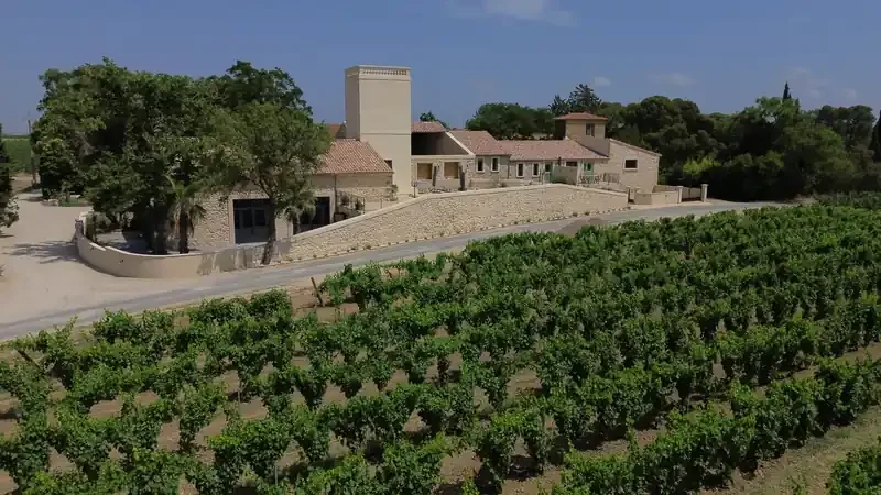 Vue aérienne de jour du domaine Les Granges Saint Paul et ses vignes en Hérault