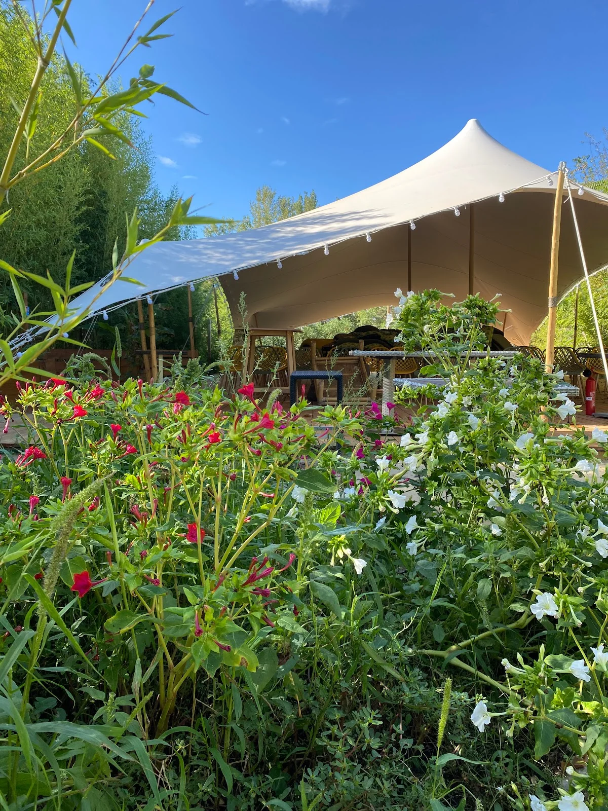 Vue extérieure de L'Impensable Aniane avec tente stretch beige entourée de fleurs sauvages et bambous, lieu de mariage Hérault