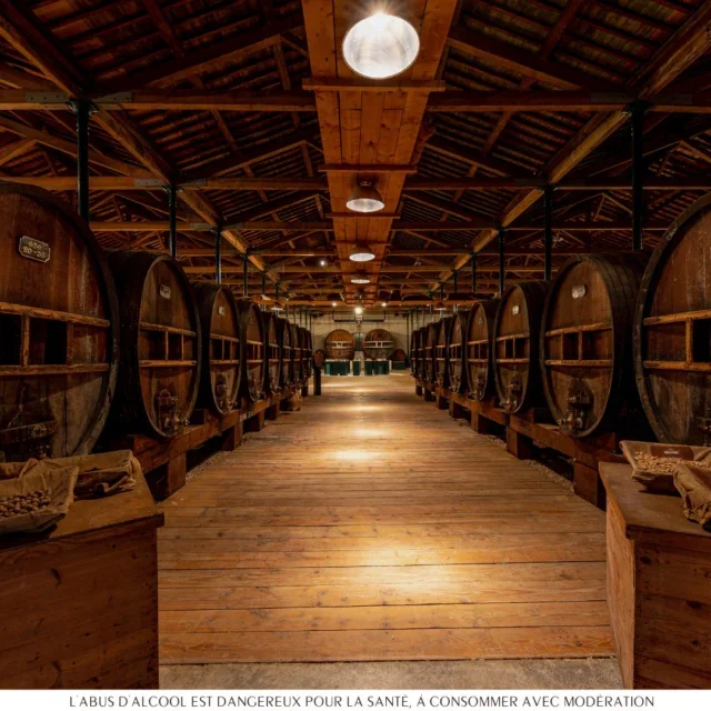Impressionnants chais de la Maison Noilly Prat avec rangées de fûts en chêne, salle de réception exceptionnelle à Marseillan Hérault