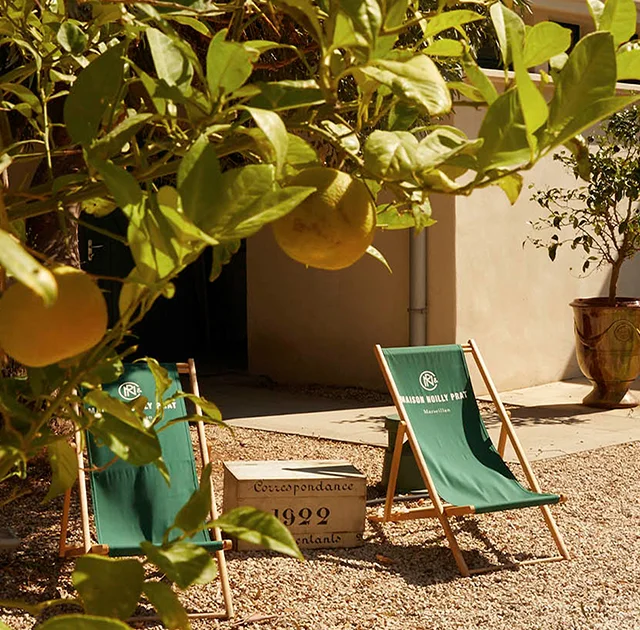 Jardin de la Maison Noilly Prat avec transats verts sous citronnier et caisses bois millésimées à Marseillan, Hérault