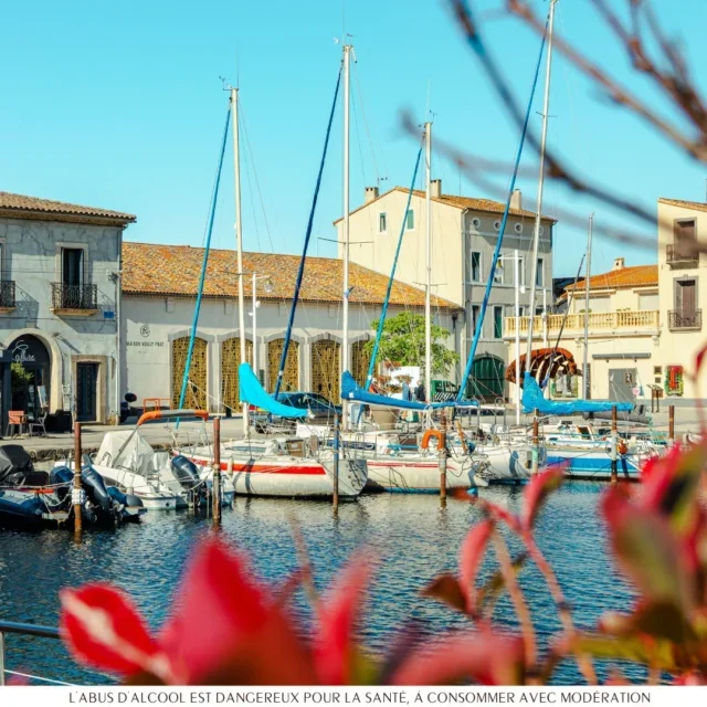 Vue sur le port de Marseillan avec la Maison Noilly Prat en bord de l'étang de Thau, Hérault