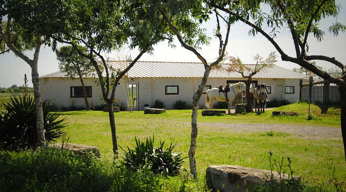 Vue extérieure du Manade Chaballier en Hérault, domaine camarguais avec chevaux blancs pour mariage