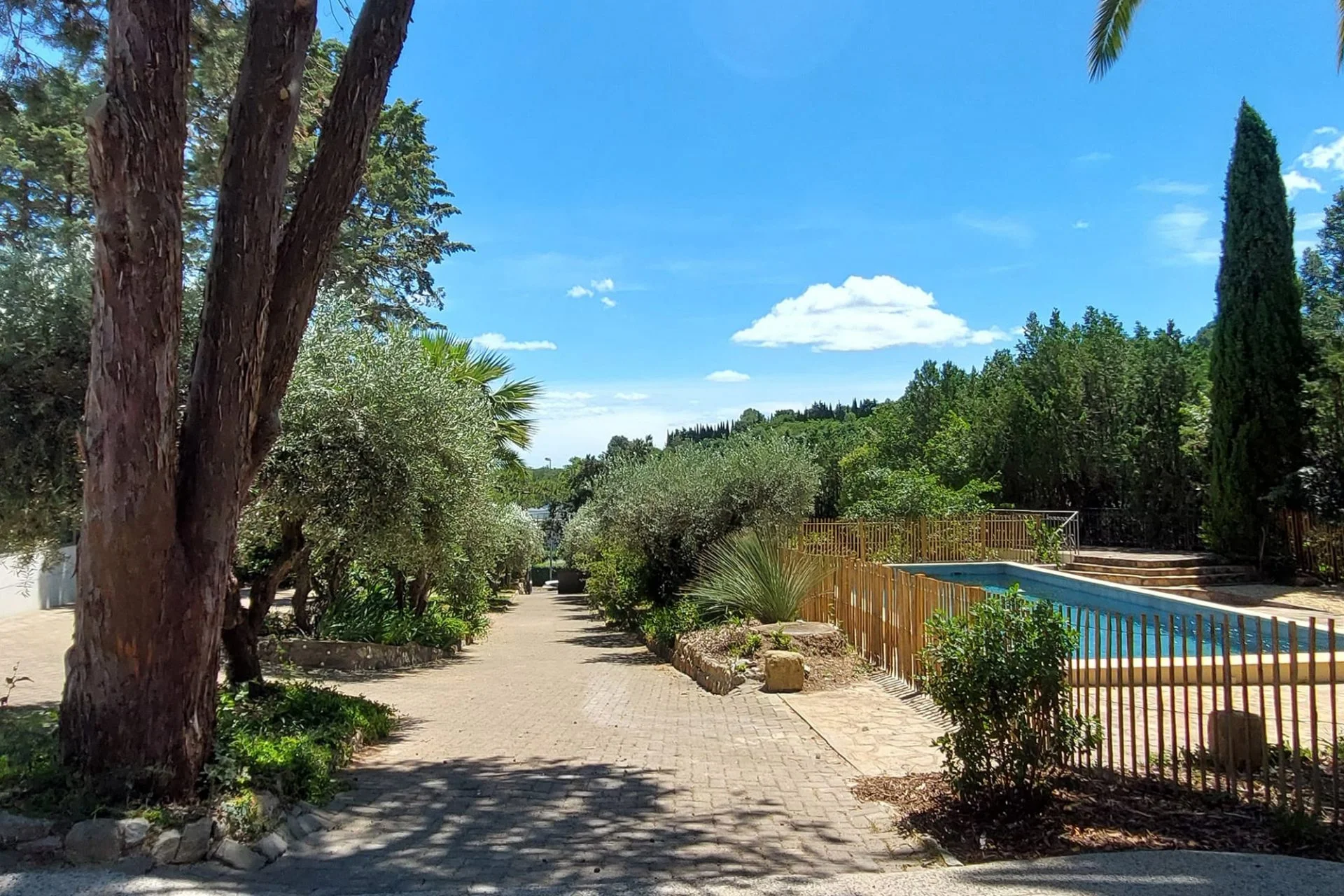 Allée pavée du Mas Aubrilha bordée d'oliviers avec piscine et jardin méditerranéen, domaine de mariage en Hérault