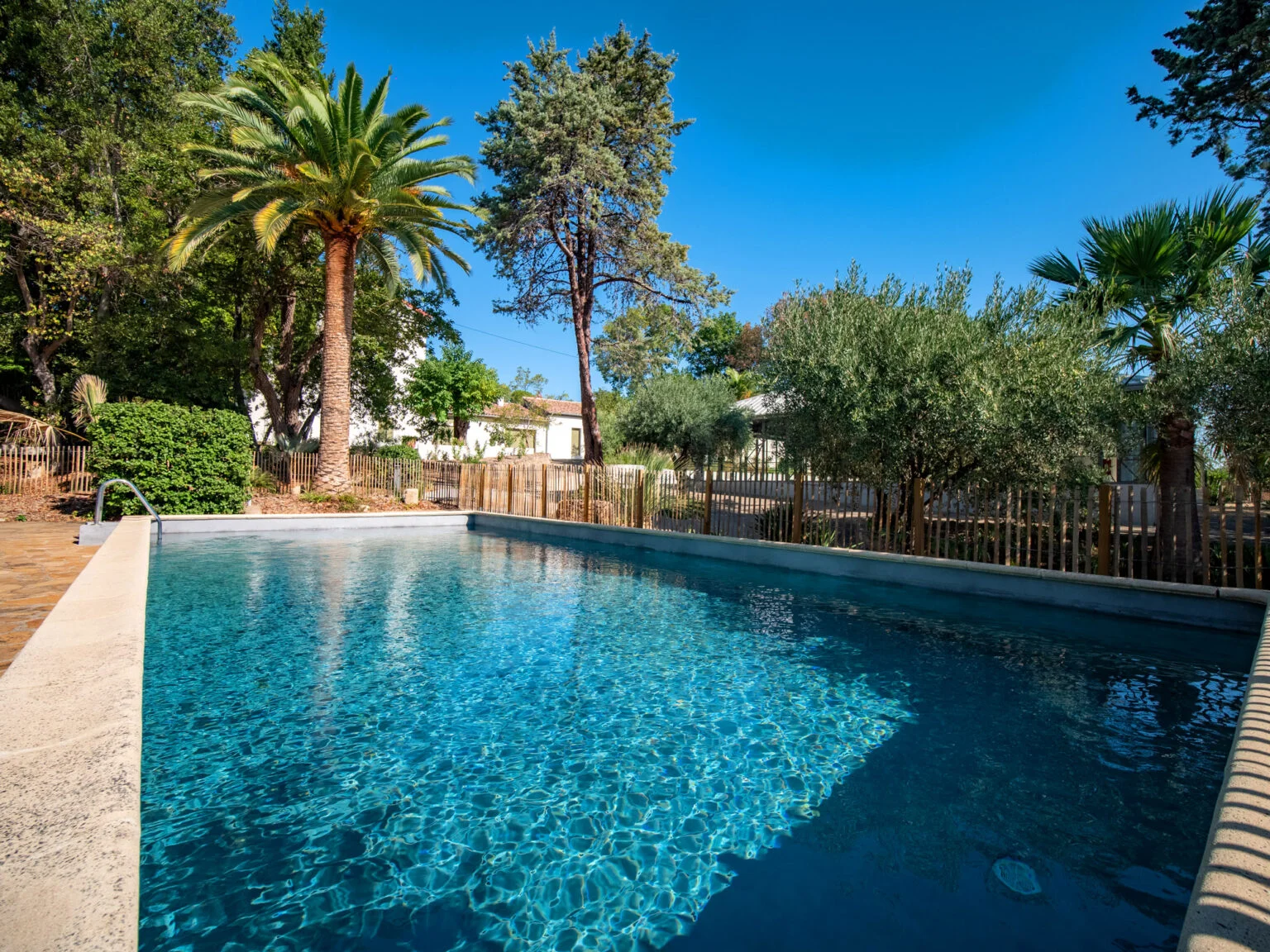 Vue depuis le bord de la piscine du Mas Aubrilha vers le pool house avec pergola bois et palmier dattier, domaine Hérault