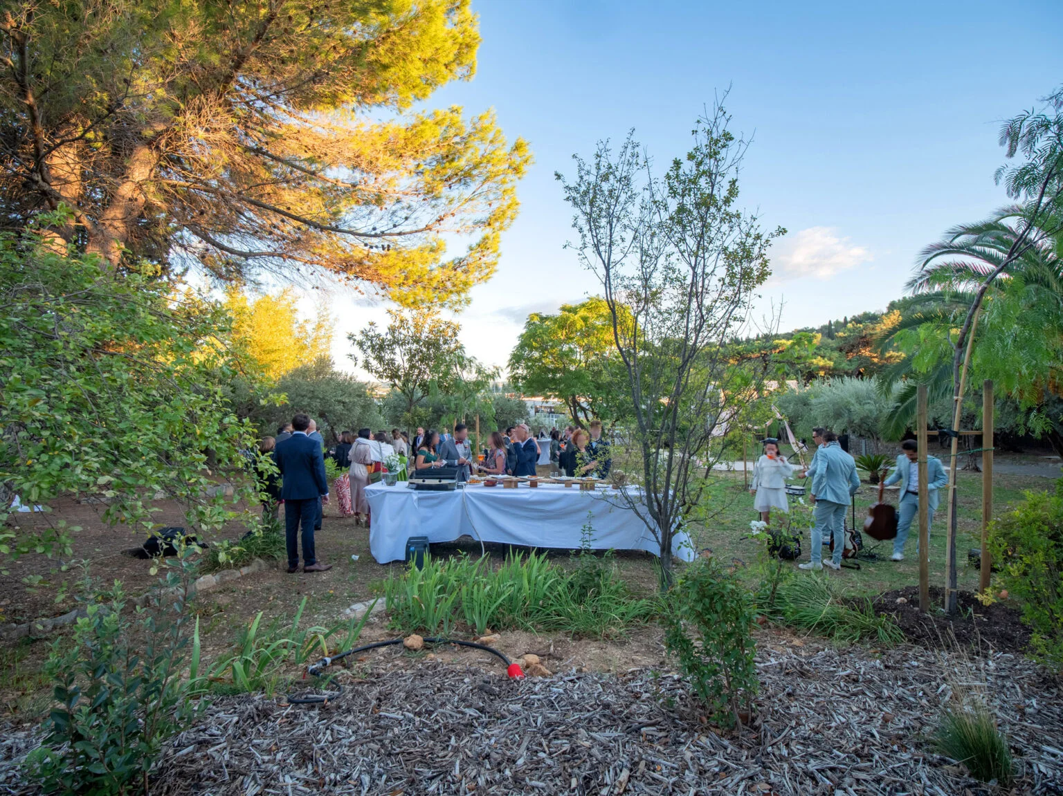 Cocktail en plein air au coucher du soleil dans le jardin du Mas Aubrilha, mariage en Hérault