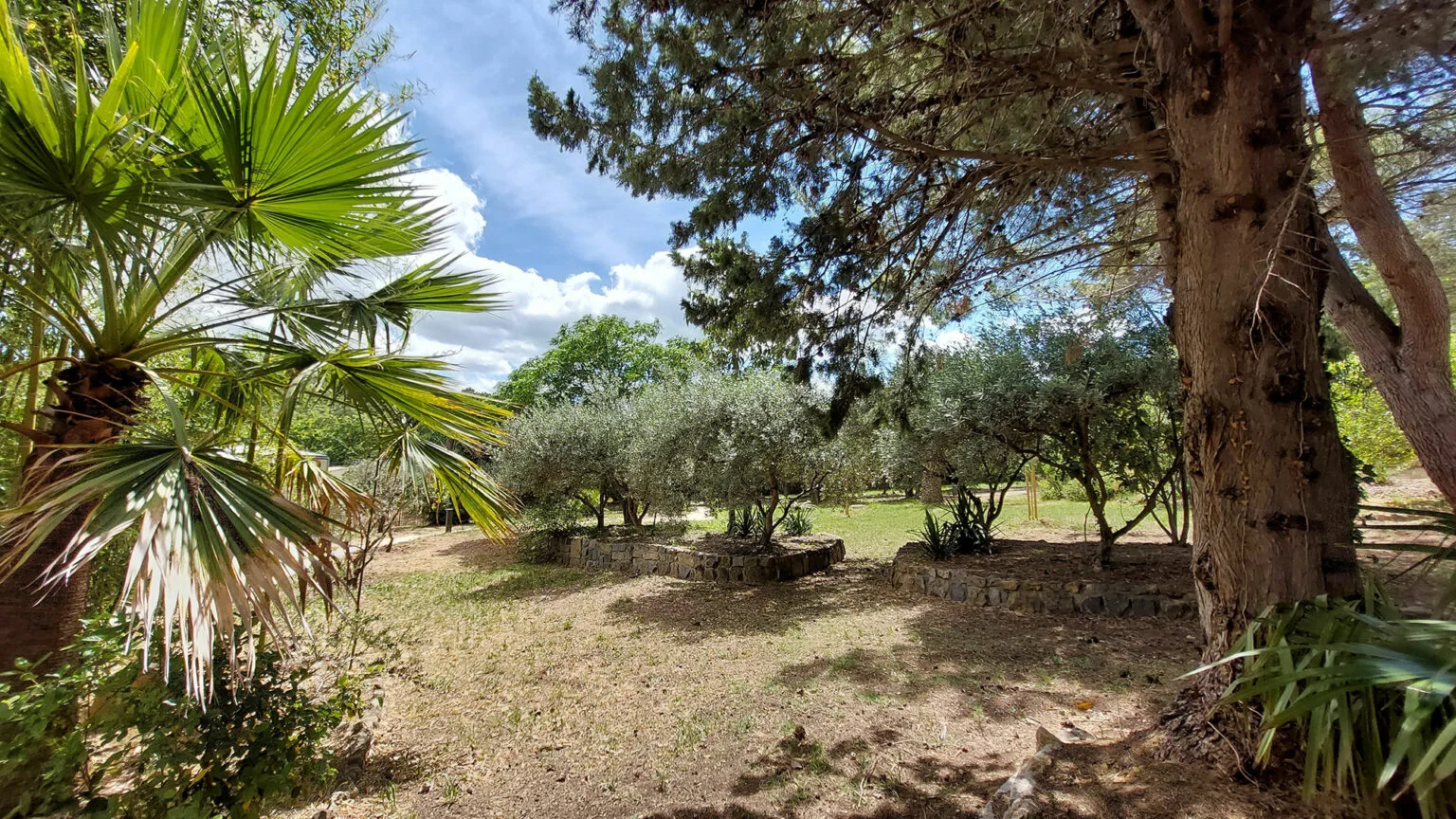 Jardin méditerranéen avec oliviers et murets en pierre du Mas Aubrilha, domaine mariage Hérault