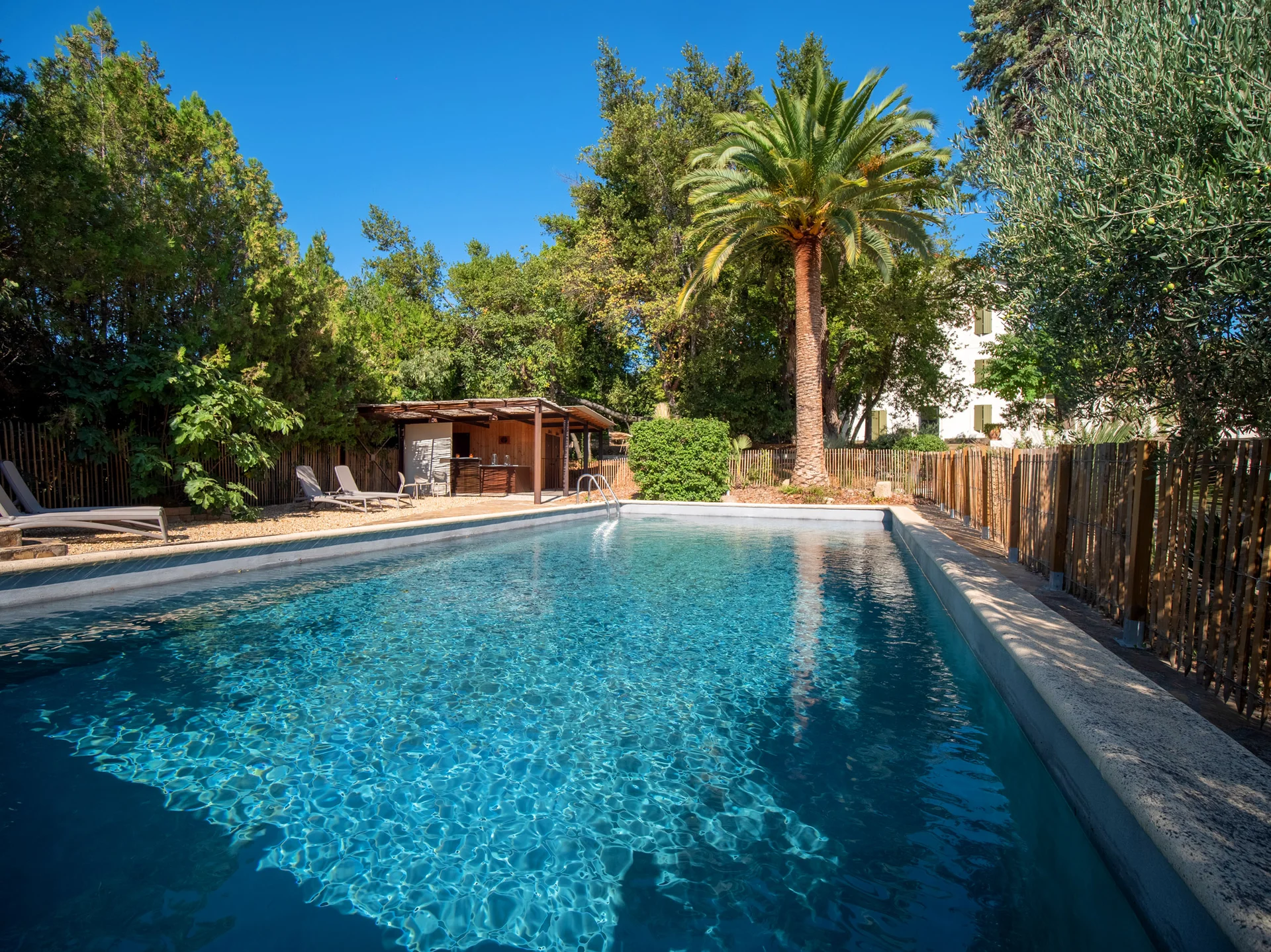 Piscine rectangulaire du Mas Aubrilha en Hérault avec pool house, palmier et bastide blanche sous ciel bleu