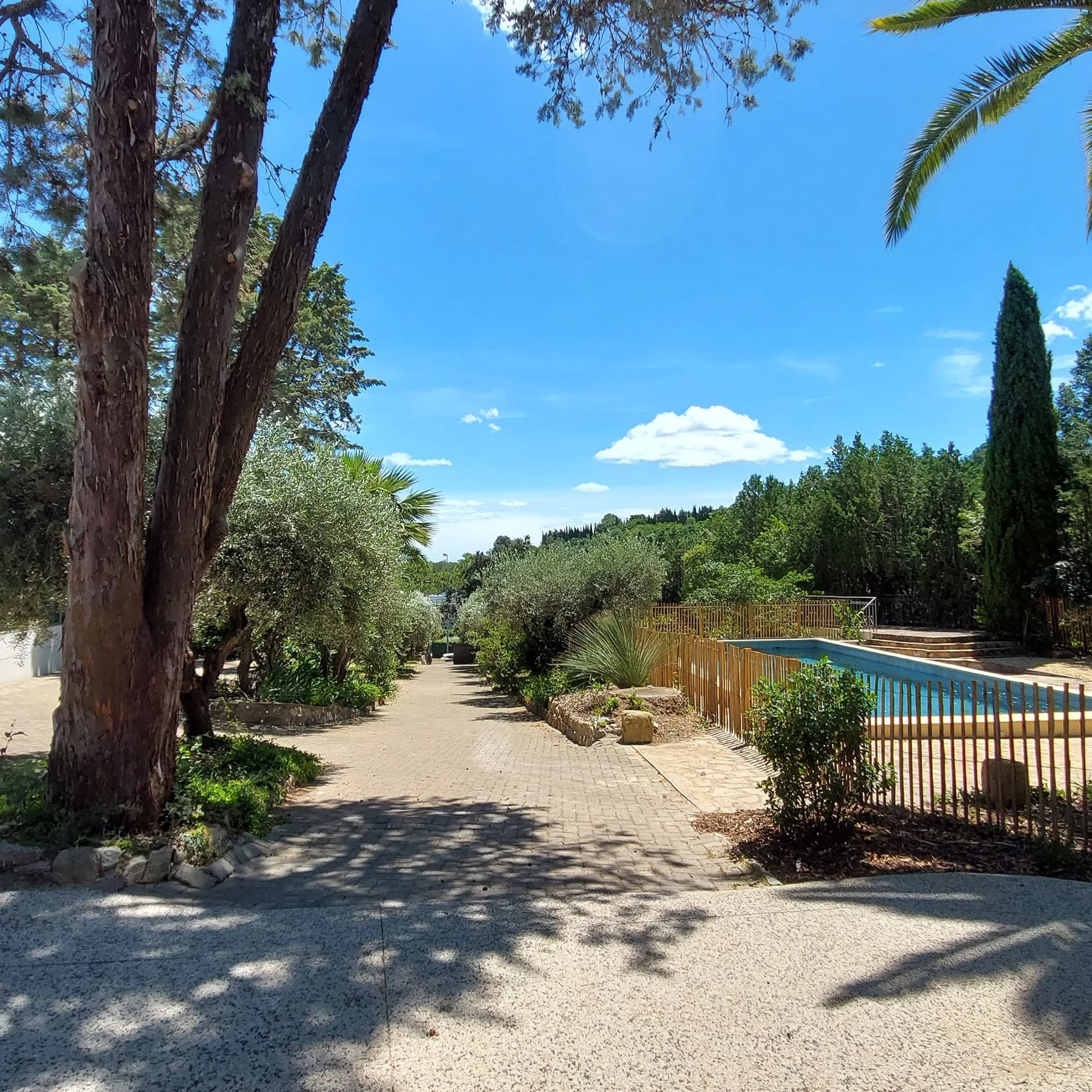 Allée pavée longeant la piscine du Mas Aubrilha entourée de pins et oliviers, domaine mariage Hérault