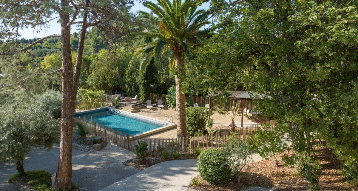 Piscine du Mas Aubrilha en Hérault entourée de palmiers et végétation méditerranéenne avec chaises longues