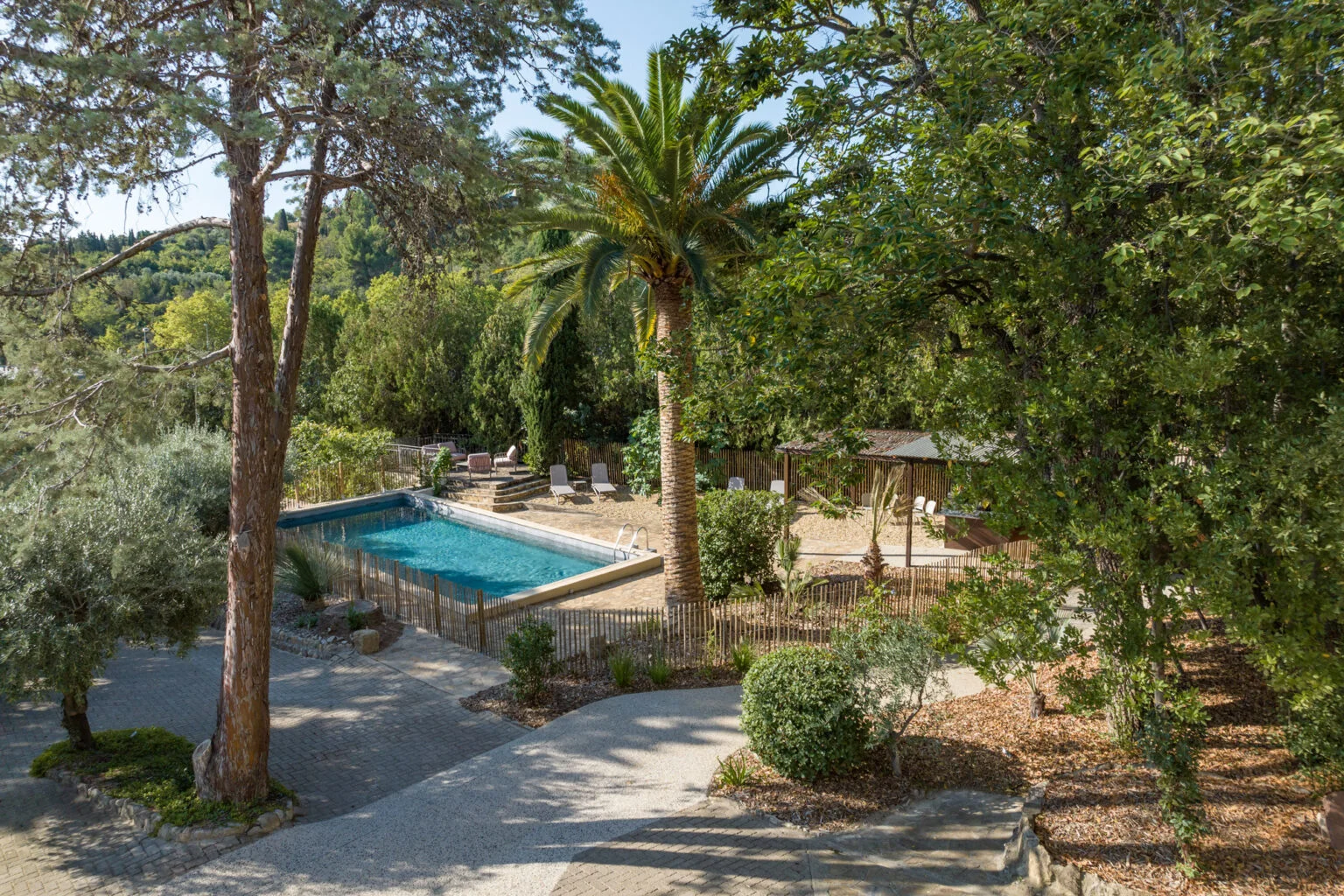 Piscine rectangulaire du Mas Aubrilha avec palmier dattier, pool house en bois et mas provençal en arrière-plan, Hérault