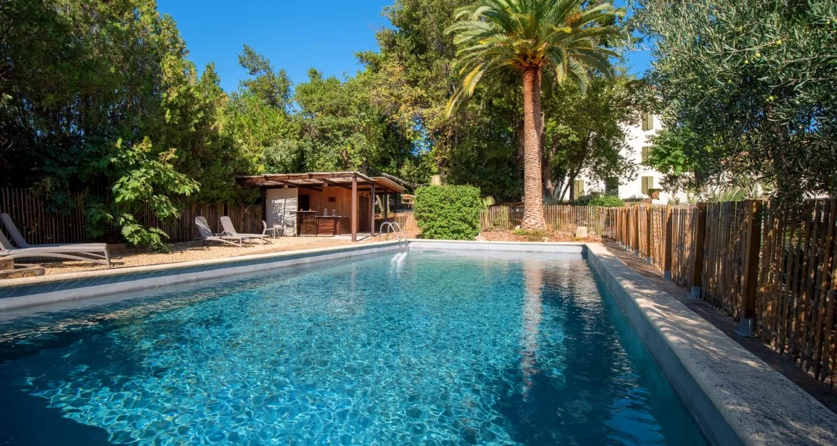 Piscine rectangulaire du Mas Aubrilha en Hérault avec pool house en bois et palmier sous ciel bleu estival