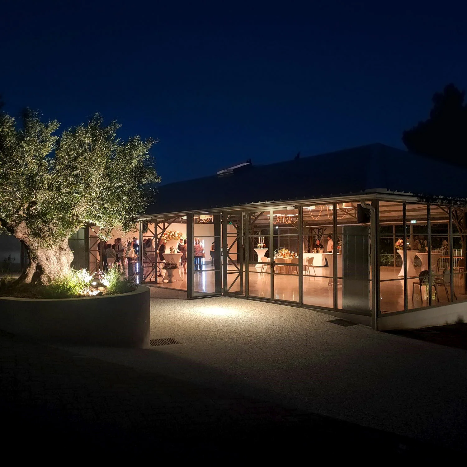 Vue extérieure nocturne de la salle de réception du Mas Aubrilha en Hérault avec oliviers éclairés et terrasse gravillonnée