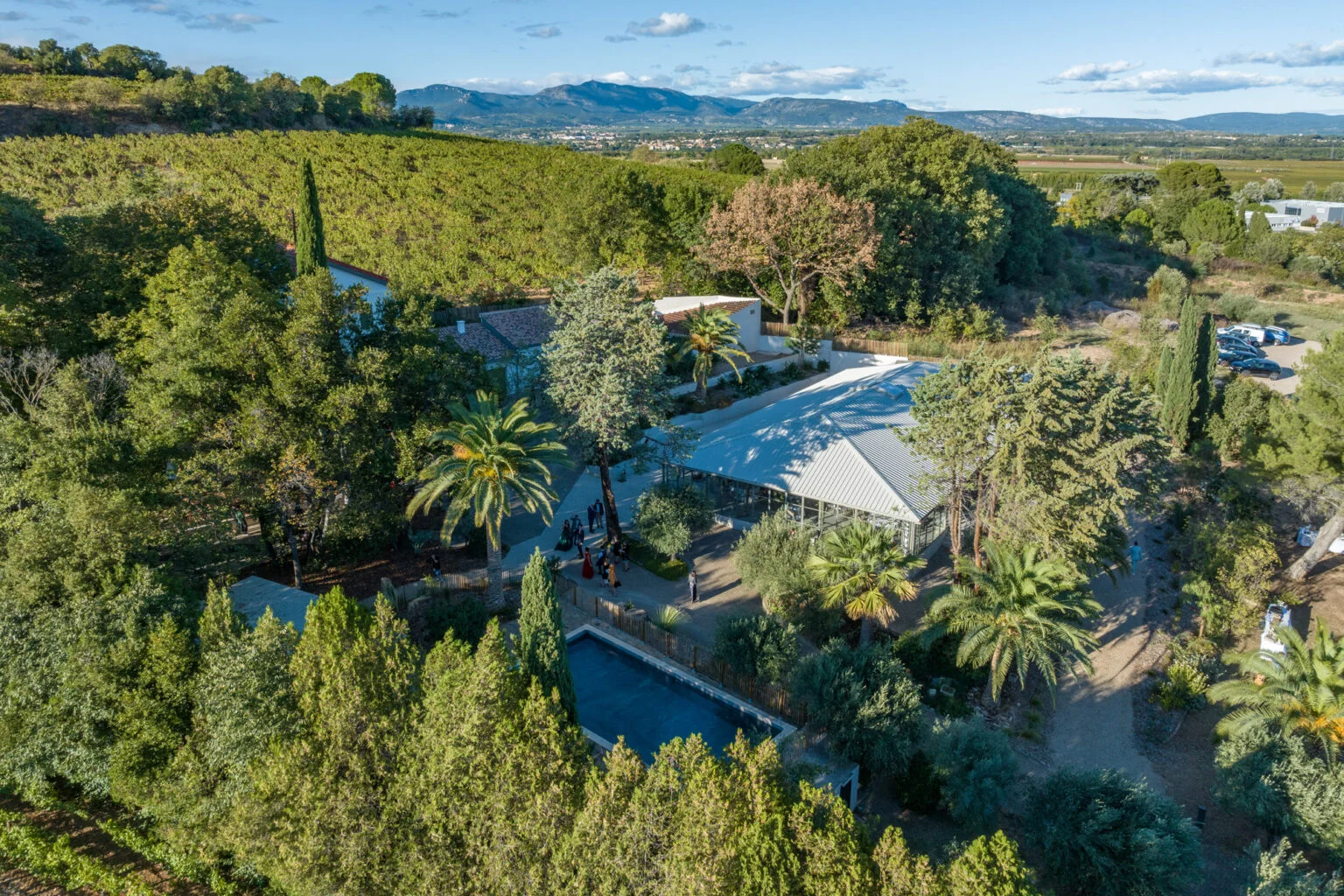 Vue aérienne du Mas Aubrilha entouré de vignes et forêt méditerranéenne, domaine mariage Hérault avec salle de réception et piscine