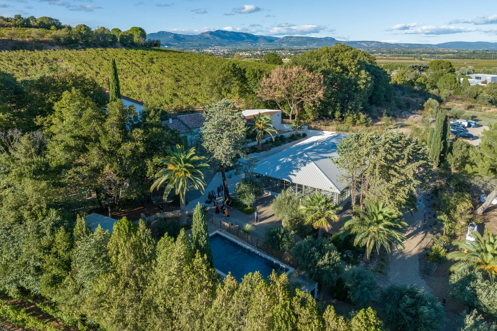 Vue aérienne panoramique du Mas Aubrilha en Hérault avec vignes, piscine, salle de réception et bastide entourés de jardins