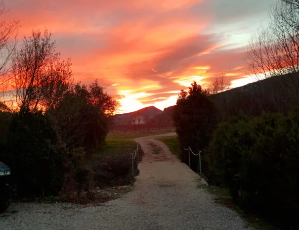 Coucher de soleil spectaculaire sur l'allée d'entrée du Mas de Pradines en Hérault