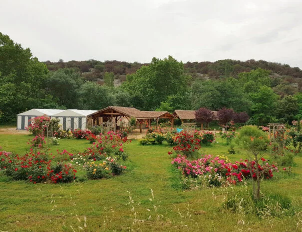Espace de réception avec chapiteau et roseraie du Mas de Pradines en Hérault - Mariage