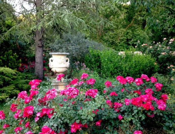 Jardin romantique du Mas de Pradines avec roses fuchsia et urne de pierre - Mariage Hérault