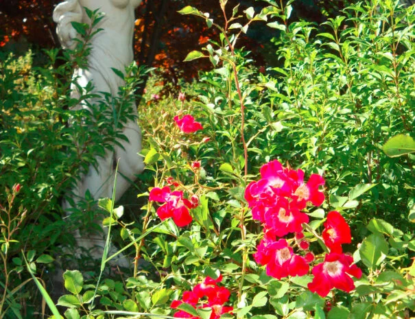 Jardin fleuri du Mas de Pradines avec roses rouges et statue classique - Domaine mariage Hérault