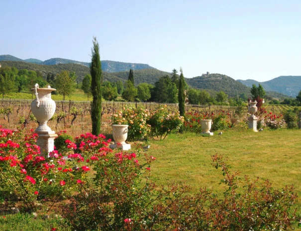 Jardin du Mas de Pradines avec vasques en pierre, roses colorées, cyprès et vue sur les vignes et collines de l'Hérault