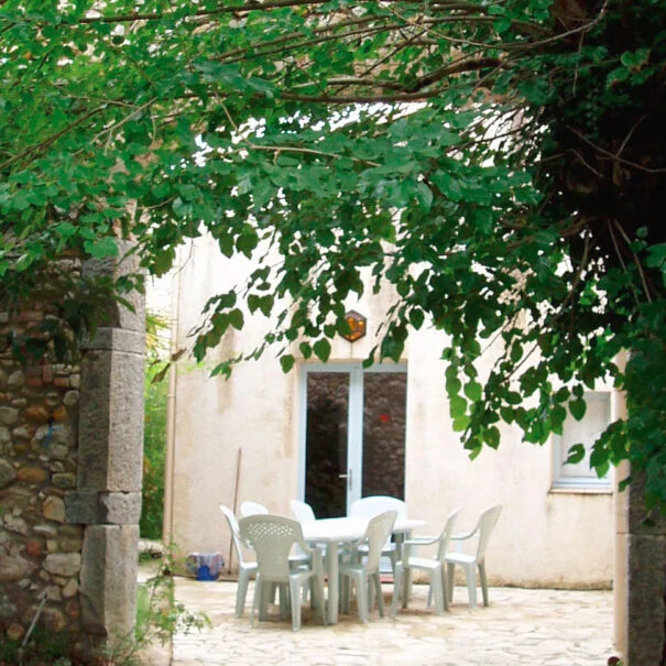 Terrasse ombragée sous figuier du Mas de Pradines, hébergement pour mariage en Hérault