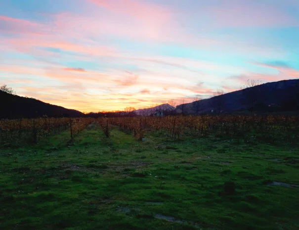 Coucher de soleil sur les vignes du Mas de Pradines en Hérault - Domaine viticole et mariage
