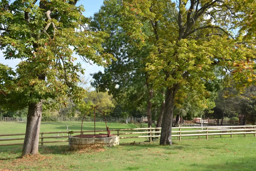 Mas du Pont Hérault - jardin prairie avec puits en pierre ancien et chênes centenaires aux couleurs d'automne