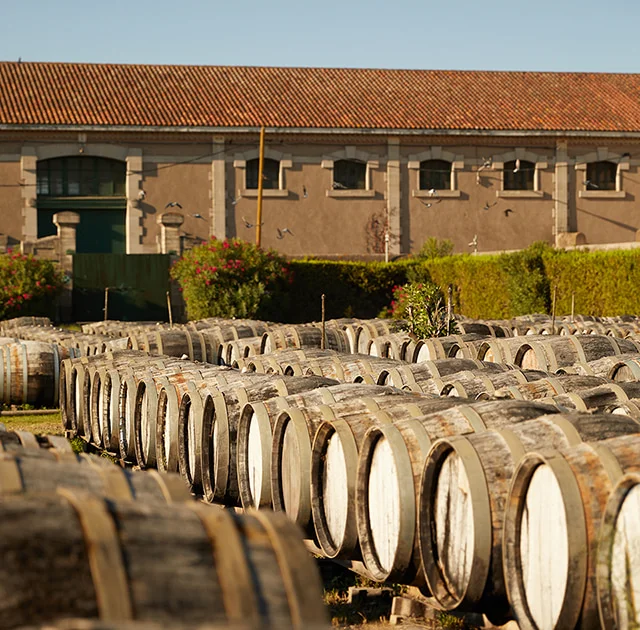 Rangées de barriques en chêne vieillissant en plein air devant les chais historiques de Noilly Prat à Marseillan, Hérault