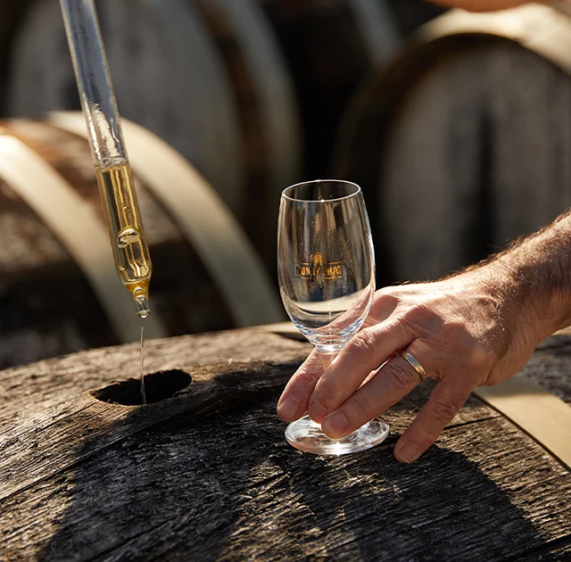 Expert prélevant du Noilly Prat directement dans un fût en chêne lors d'une dégustation à Marseillan, Hérault