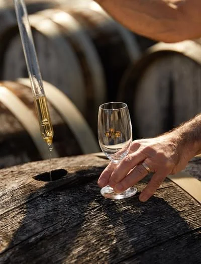 Dégustation de vermouth Noilly Prat directement au fût dans le chai de Marseillan – expérience unique mariage Hérault