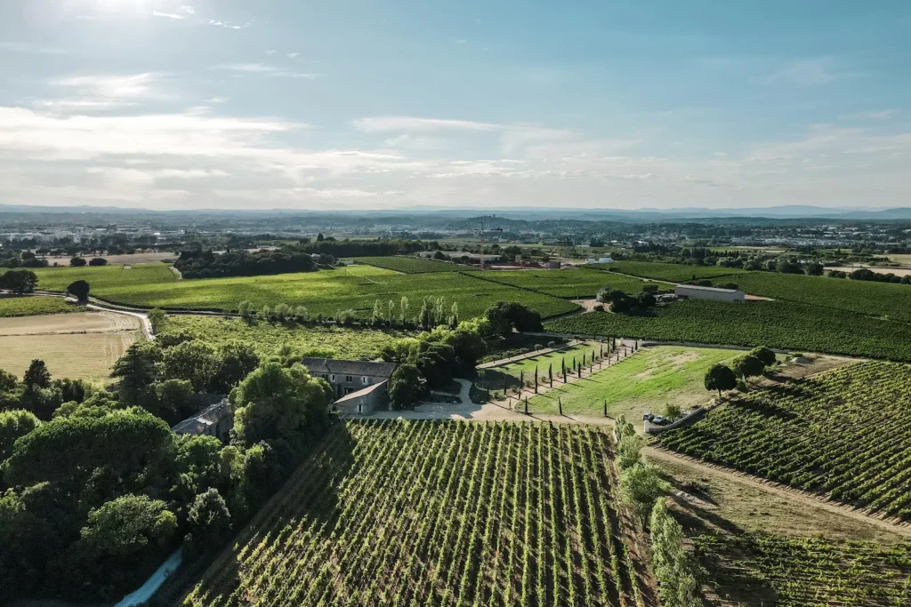 Panorama sur le vignoble du Domaine DeCalage et la plaine de Montpellier