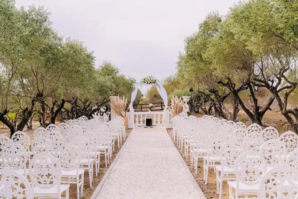 Cérémonie de mariage dans l'allée d'oliviers du Domaine des Hautes Vignes à Béziers
