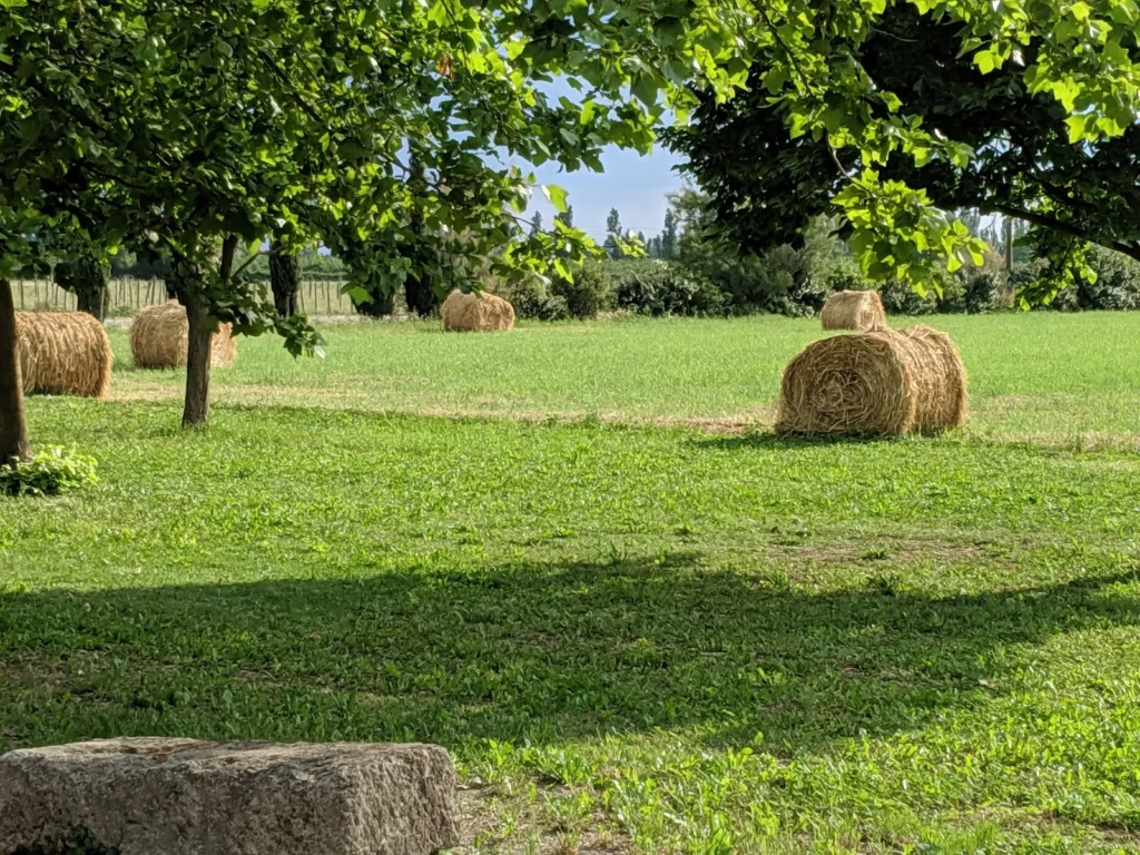 Parc champêtre et bottes de foin à la Manade Occitane à Marsillargues