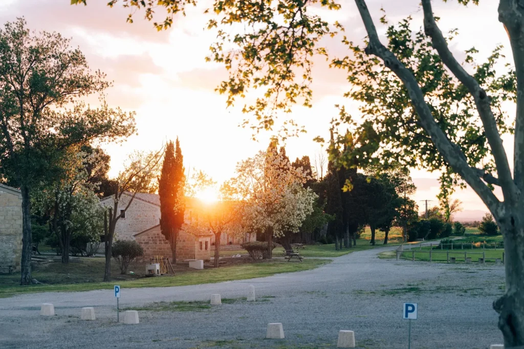 Allée de cyprès au coucher du soleil au Mas Tamariguières à Marsillargues