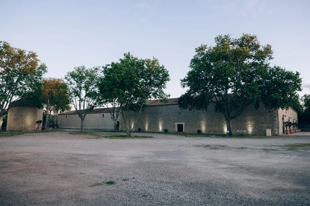 Vaste cour arborée du Mas Tamariguières à Marsillargues