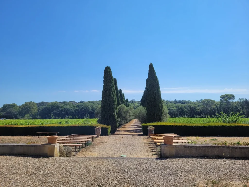 Allée de cyprès ouvrant sur le vignoble de la Seigneurie de Peyrat à Pézenas
