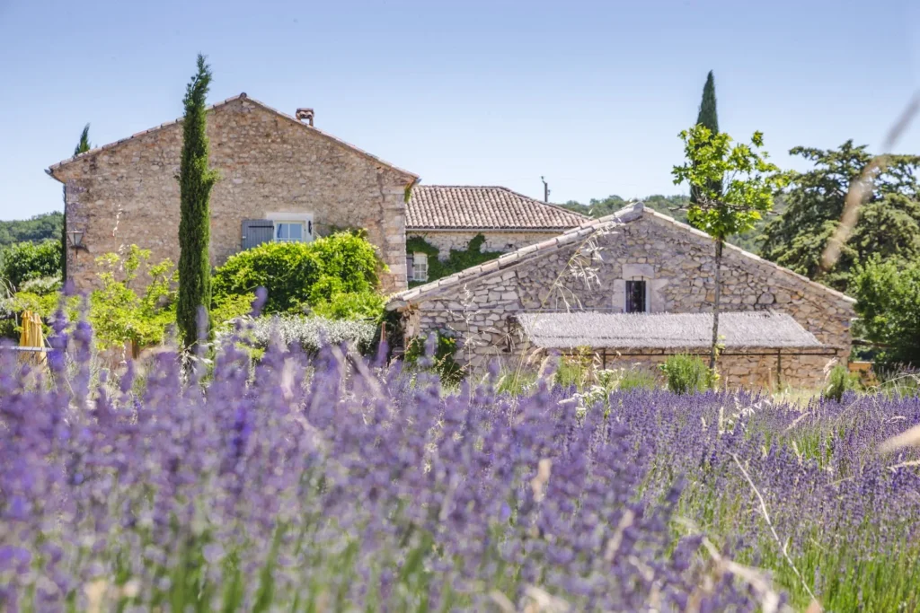 Bastide de Lussan - Jardin - Lussan
