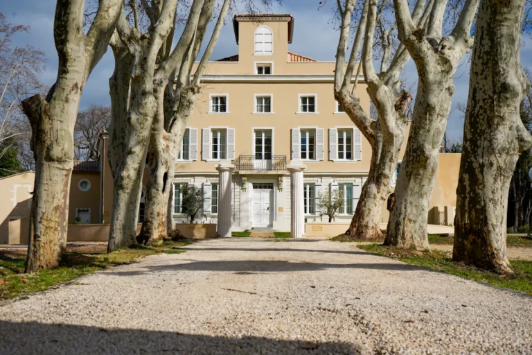 Château de Linsolas