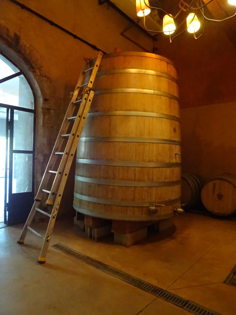 Château d'Or et de Gueules - vue ensemble - Saint-Gilles (Gard)