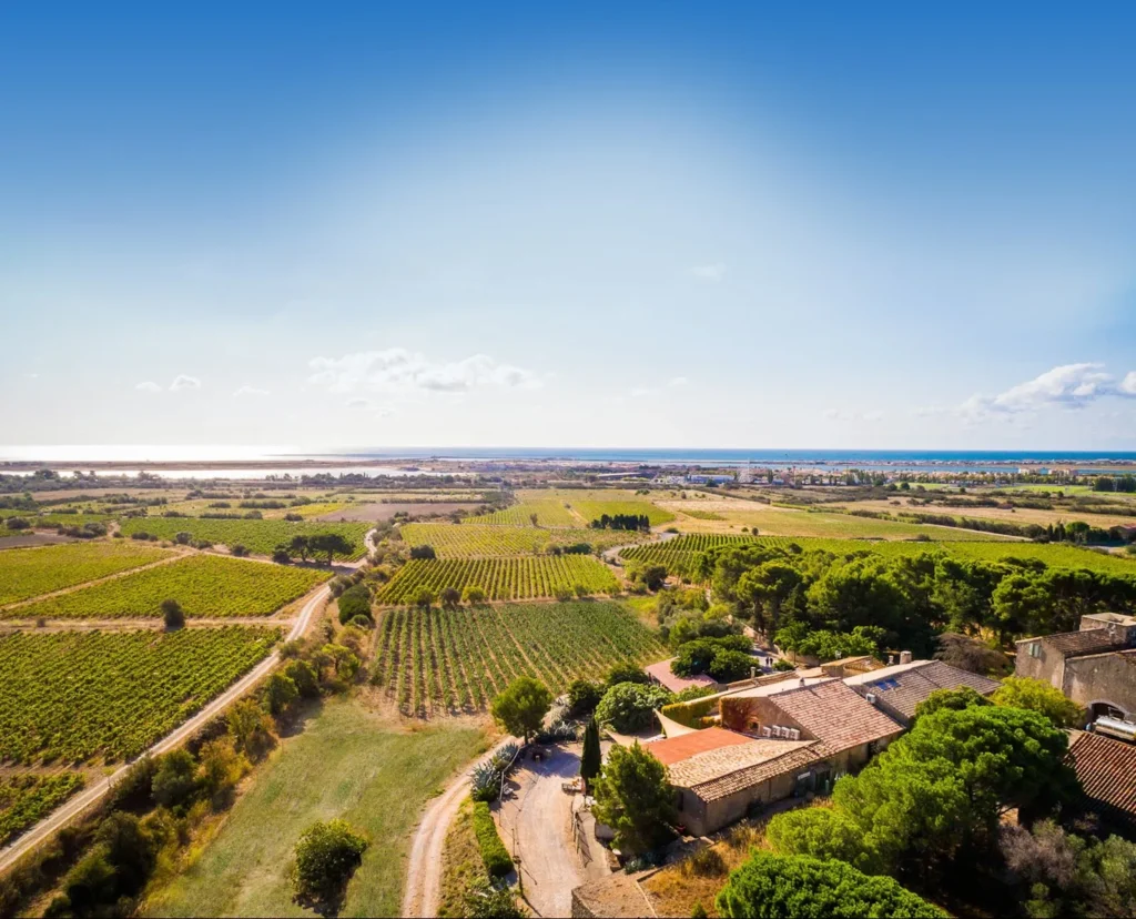 Vue aérienne du Château Le Bouïs entre vignoble et étang face à la mer à Gruissan