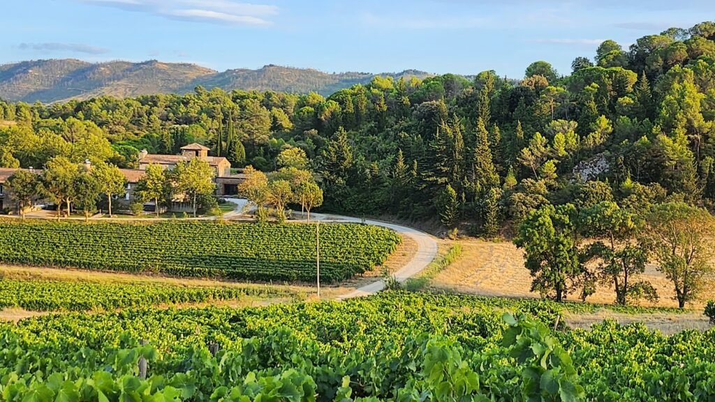 Domaine Calmel & Joseph, lieu de mariage