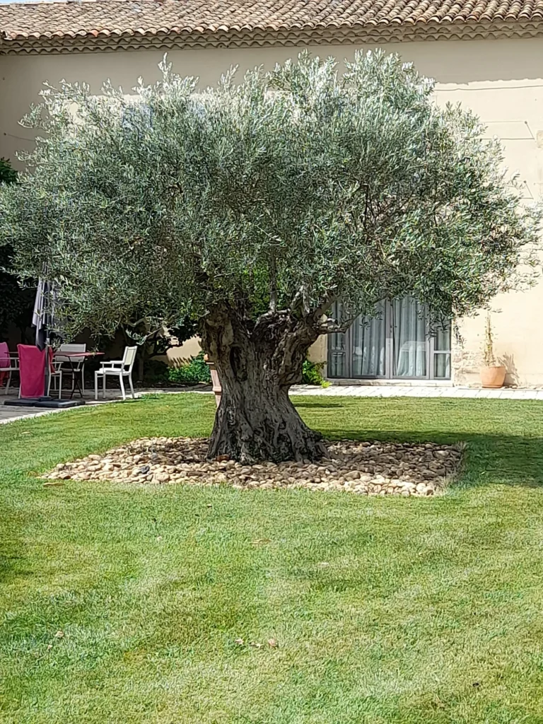 Domaine de Gonet - Salle - Bellegarde