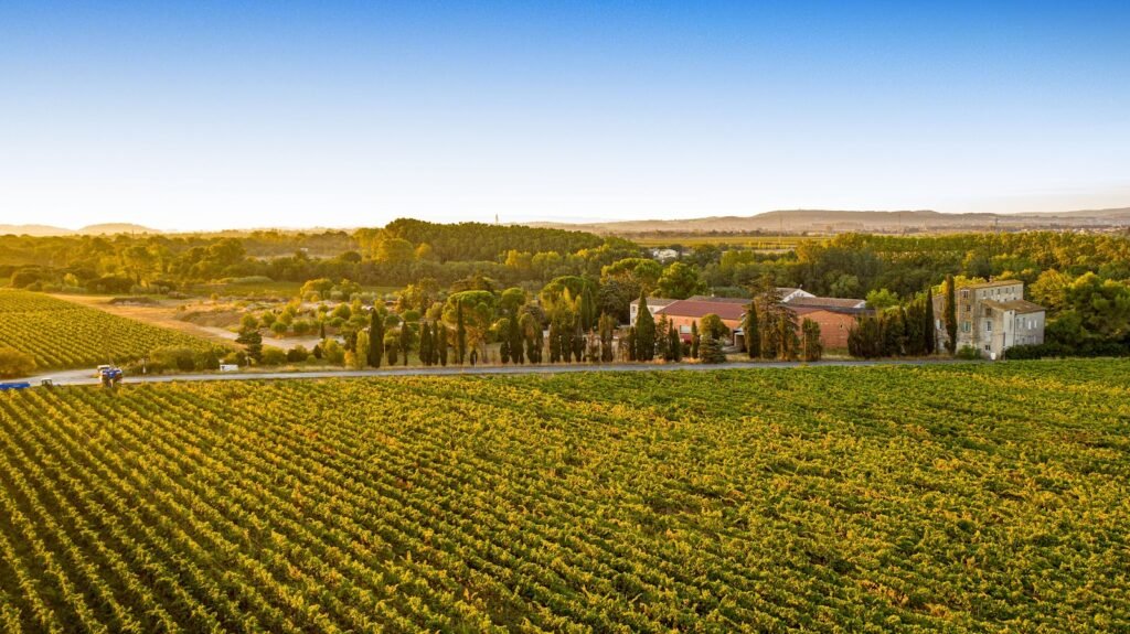 Domaine de l&rsquo;Herbe Sainte, lieu de mariage