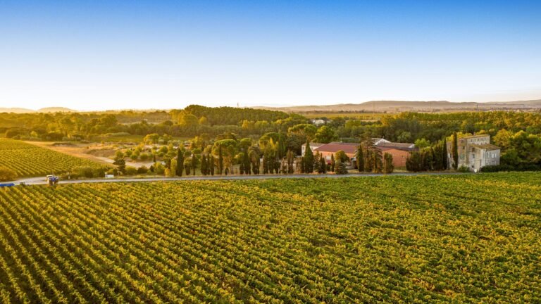 Domaine de l&rsquo;Herbe Sainte