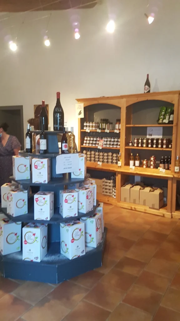 Domaine Ventajol - Vue - Pont saint esprit