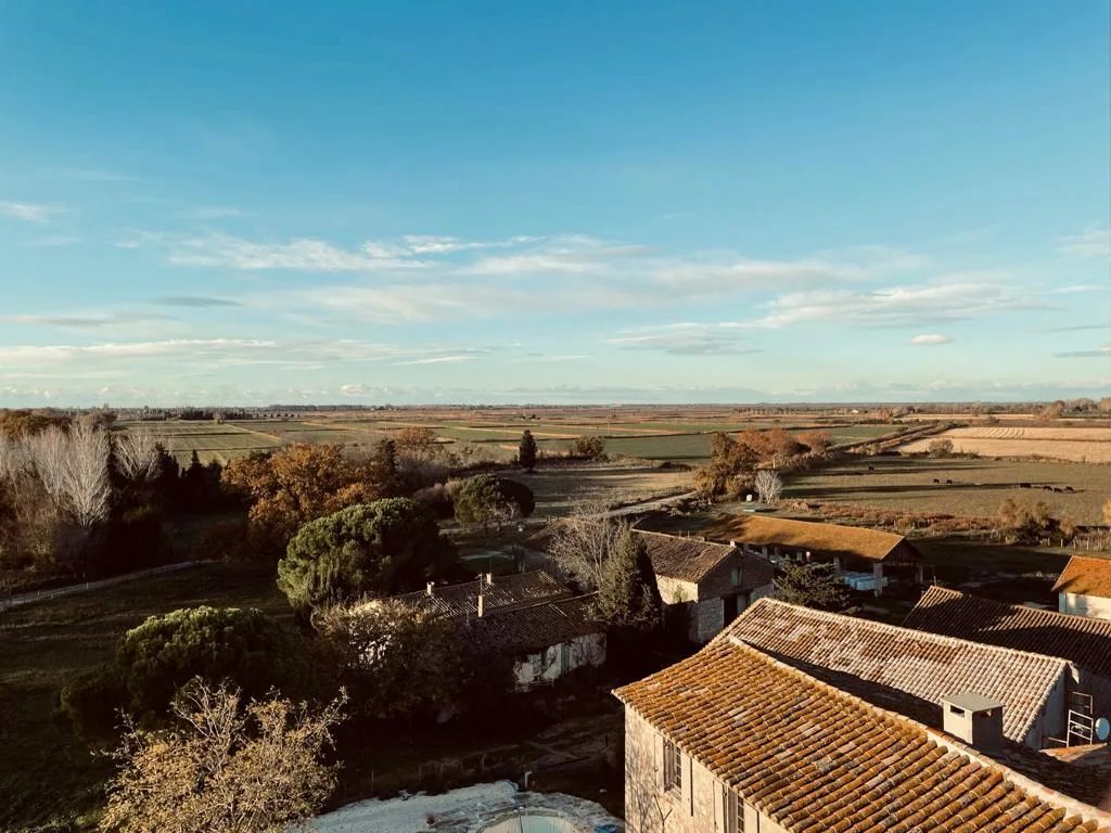 Mas de la Motte - Exterieur - Saint gilles